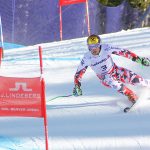 Ben Zuckerman Birds of Prey Marcel Hirscher